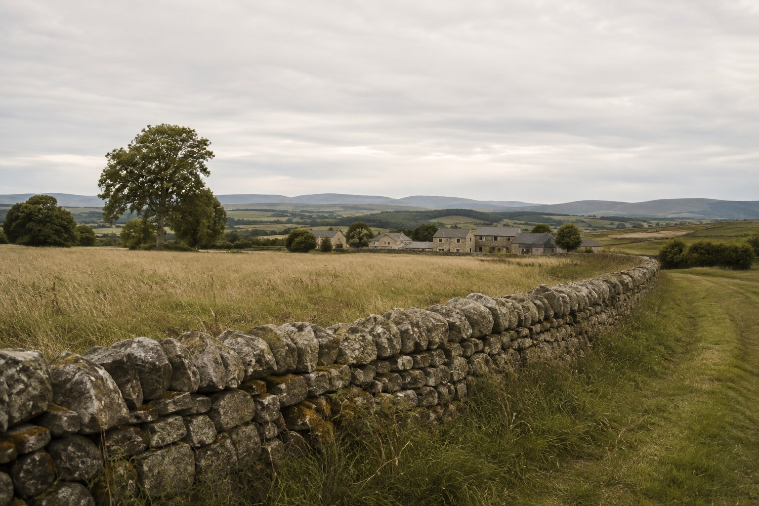 Illustrative Scottish countryside with a dry-stone boundary